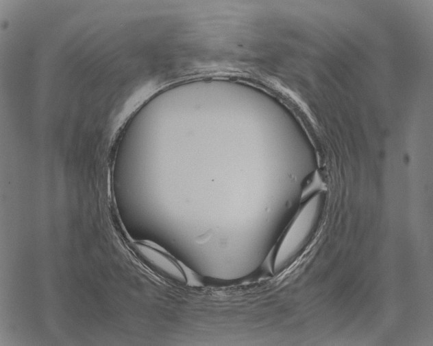 X0000067481365200605051702