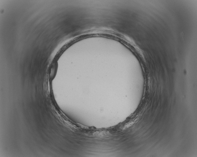 X0000067481368200605051702