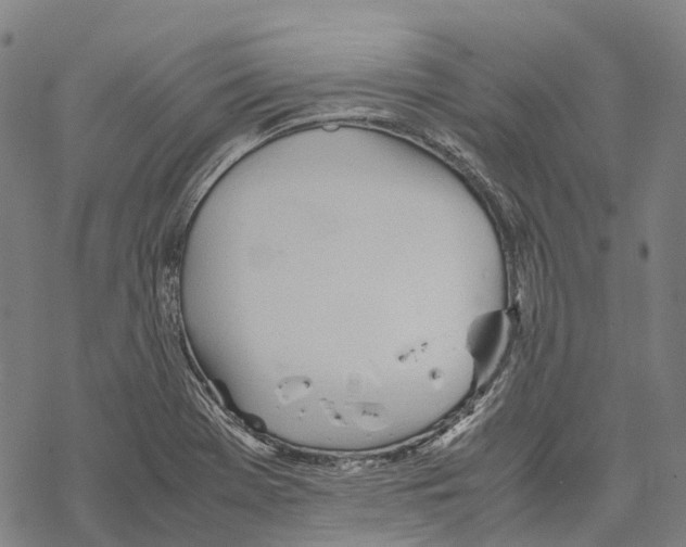 X0000067481369200605051702