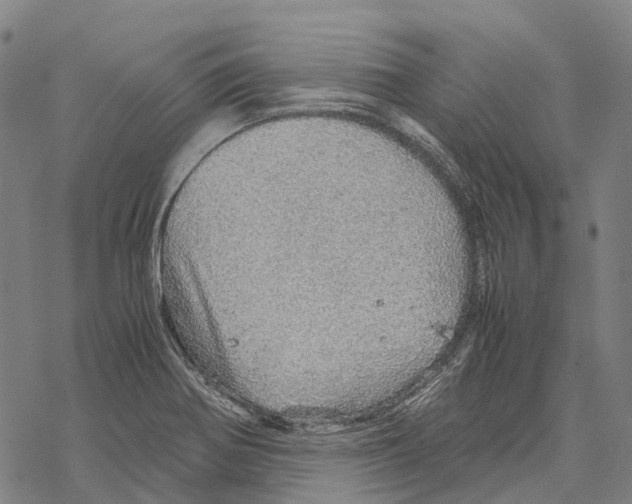 X0000067481370200605051701