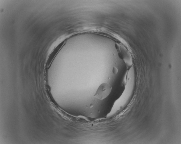 X0000067481373200605051701