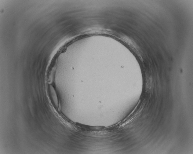 X0000067481376200605051701