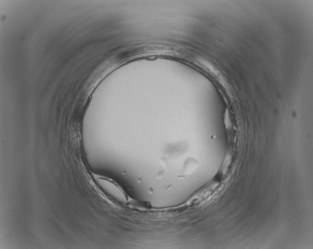 X0000067481377200605051701