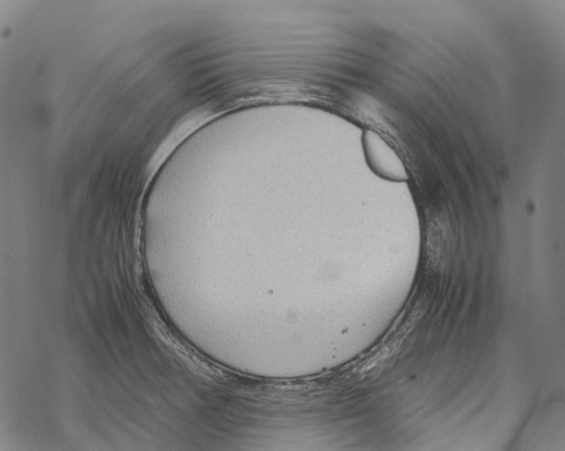 X0000067481378200605051701