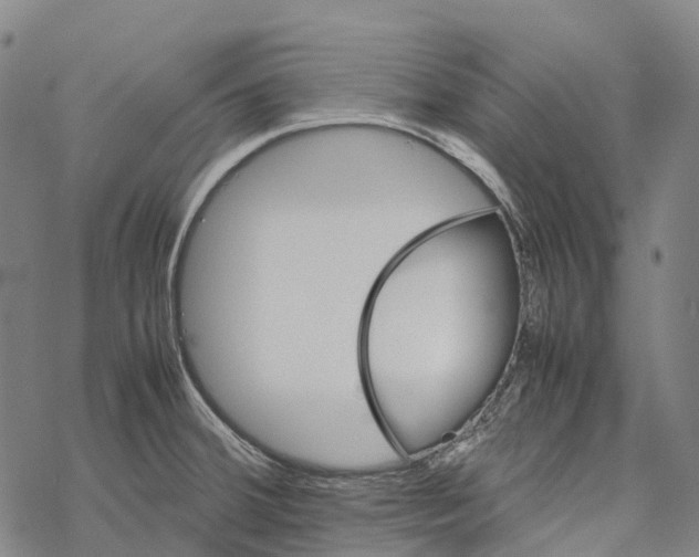 X0000067481380200605051701