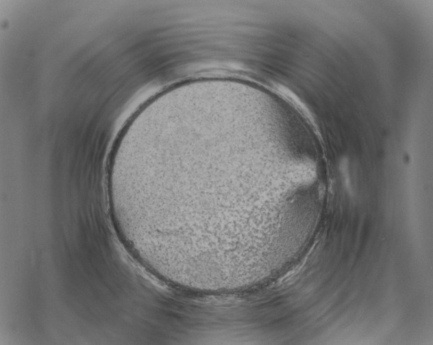 X0000067481384200605051701