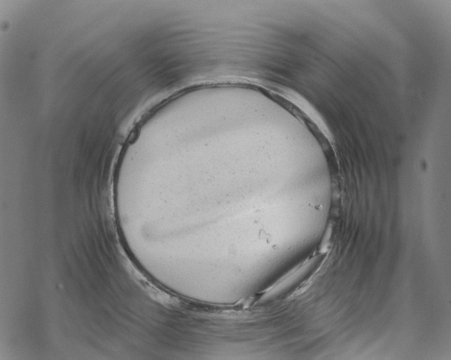 X0000067481388200605051701