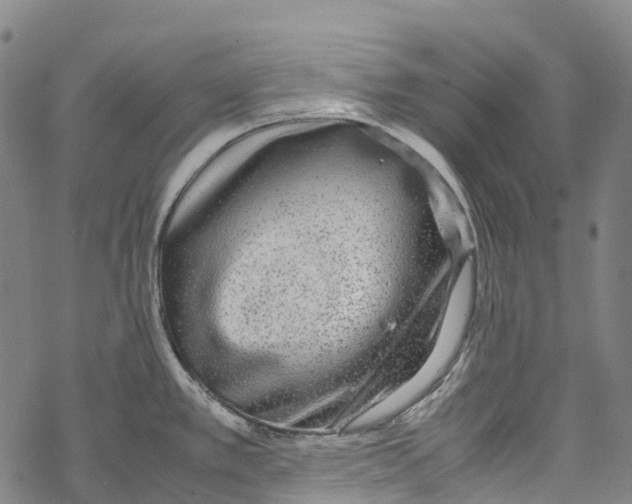 X0000067481389200605051701