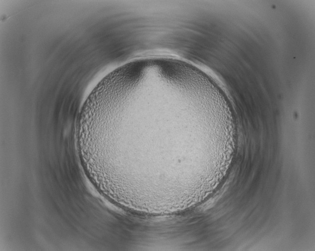 X0000067481390200605051701