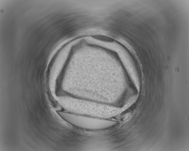 X0000067481392200605051701