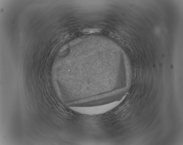 X0000067481393200605051700