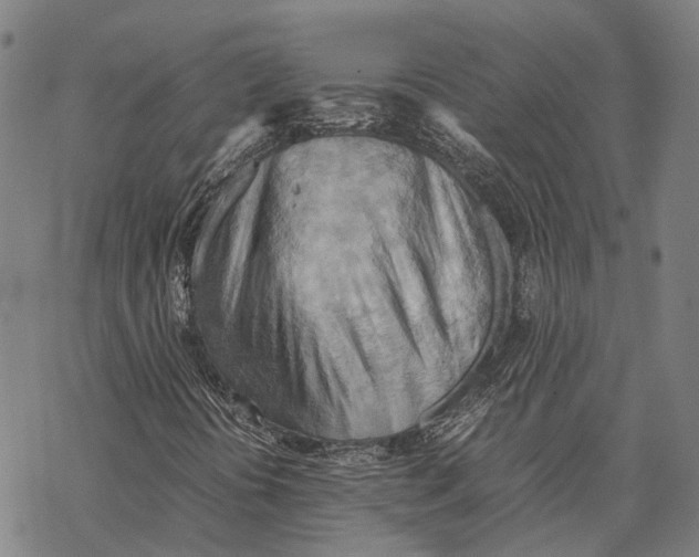 X0000067481394200605051700