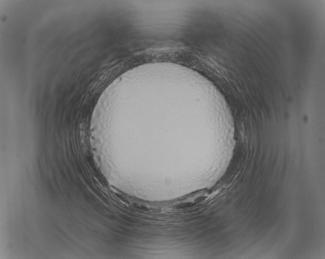 X0000067481396200605051700