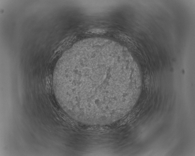 X0000067481397200605051700