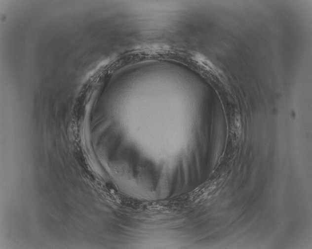 X0000067481398200605051700