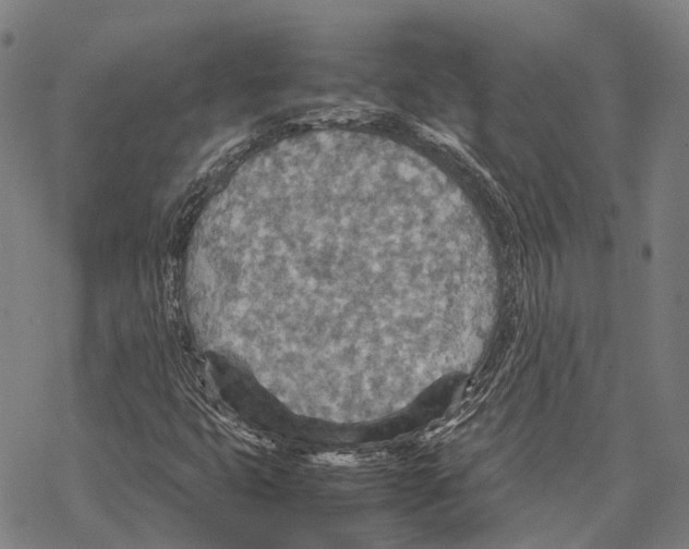 X0000067481399200605051700