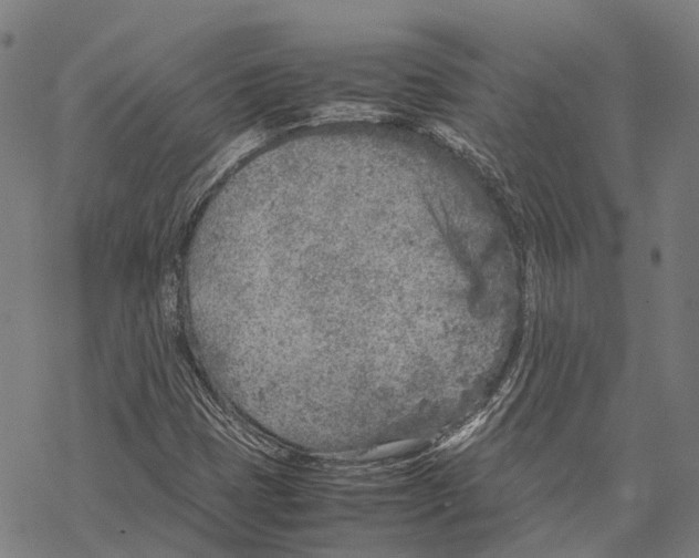 X0000067481401200605051700