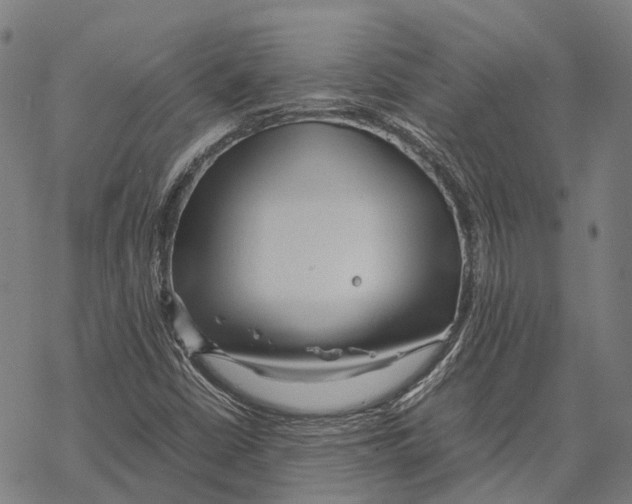 X0000067481402200605051700