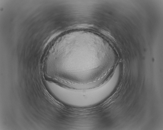 X0000067481404200605051701