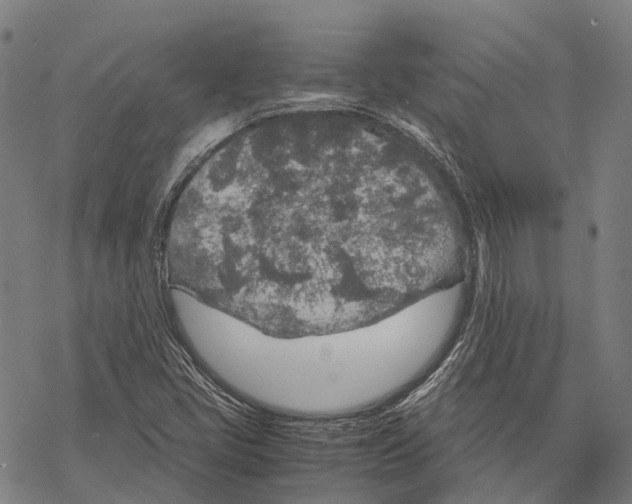 X0000067481405200605051701