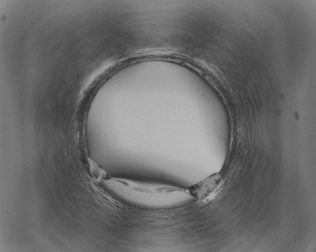 X0000067481406200605051701