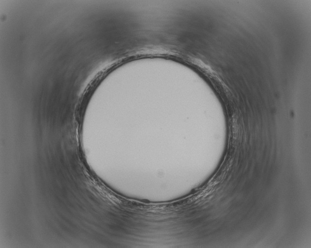 X0000067481408200605051701