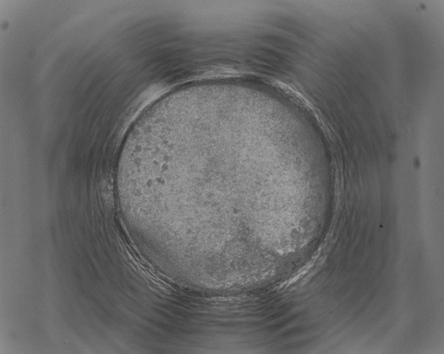 X0000067481409200605051701