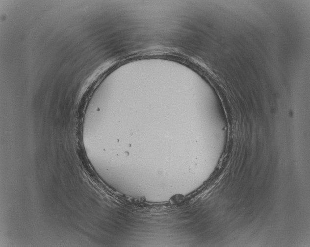 X0000067481410200605051701