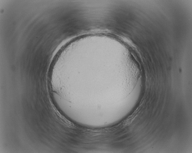 X0000067481412200605051701