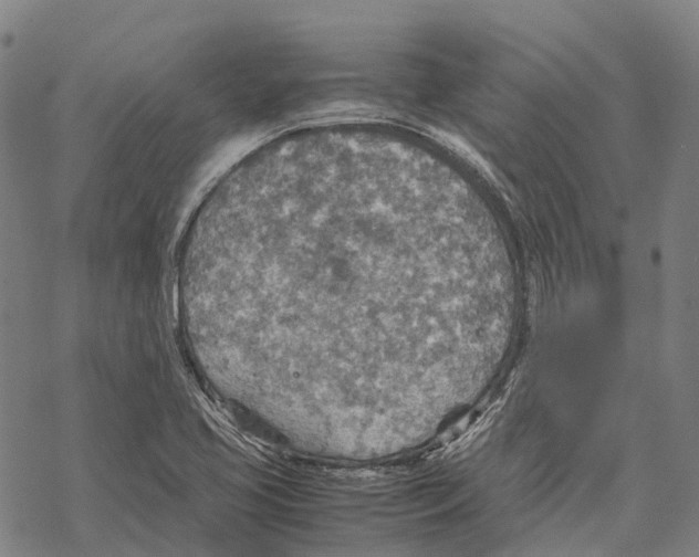 X0000067481413200605051701