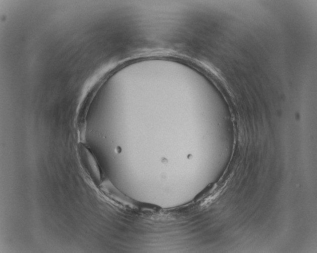 X0000067481414200605051701