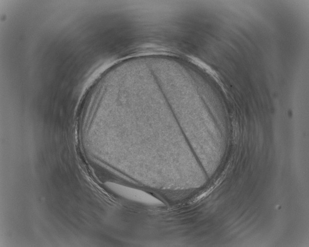 X0000067481415200605051701