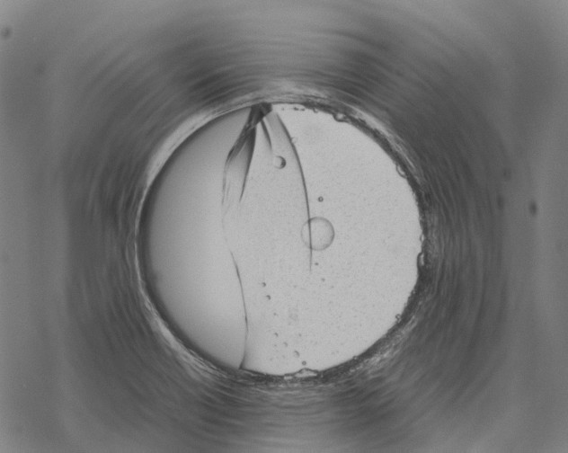 X0000067481418200605051701