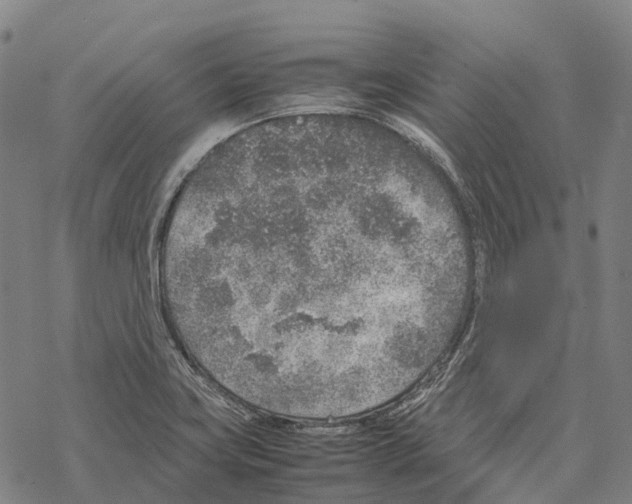 X0000067481419200605051701