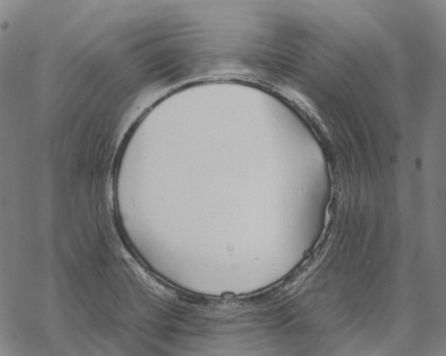 X0000067481420200605051701