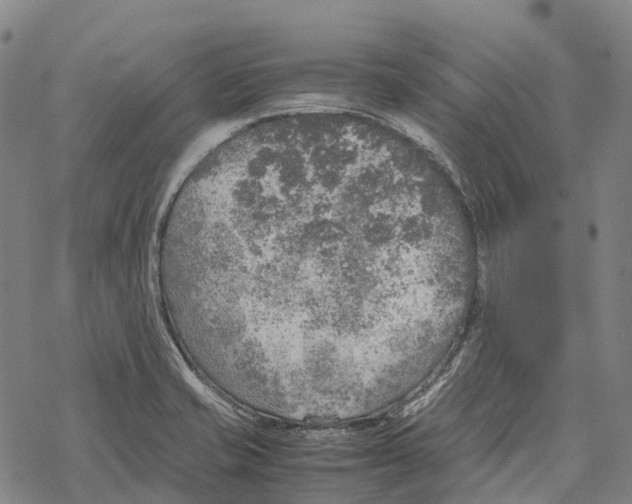 X0000067481421200605051701