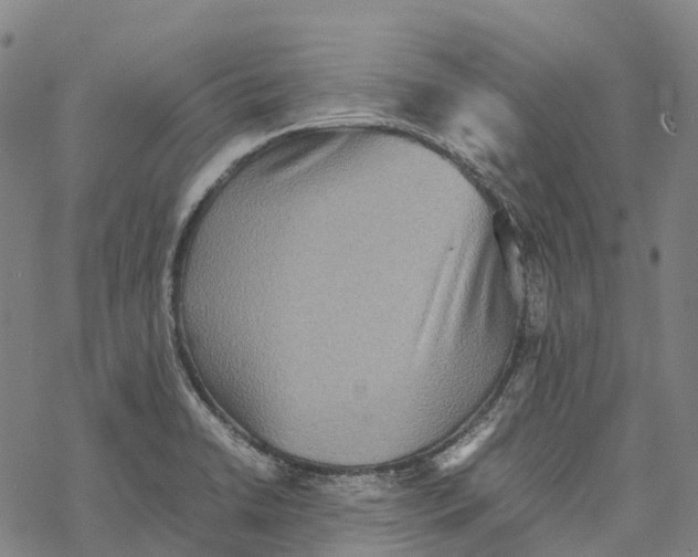 X0000067481422200605051701