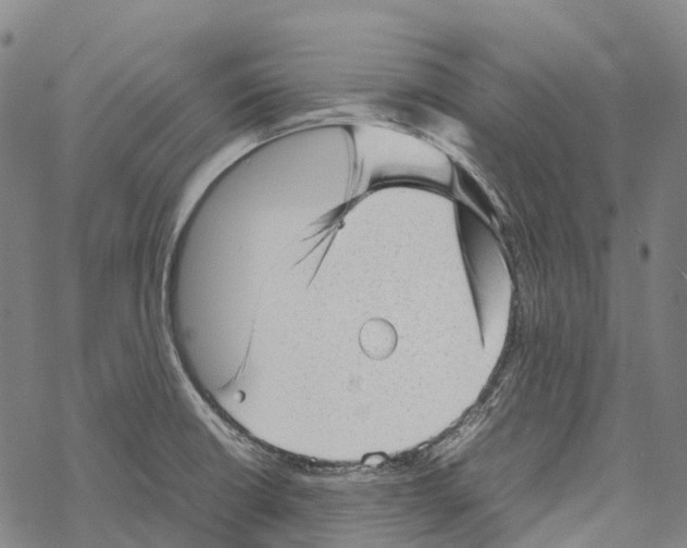 X0000067481426200605051701