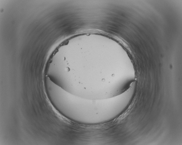 X0000067481430200605051701