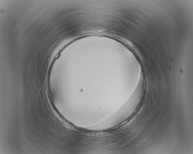 X0000067481432200605051701