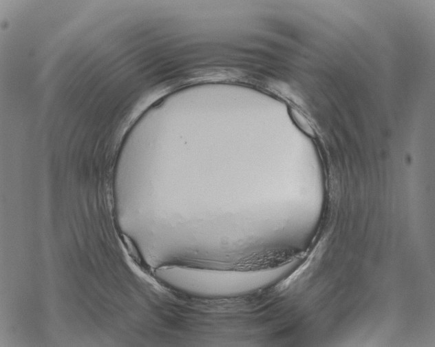 X0000067481433200605051701