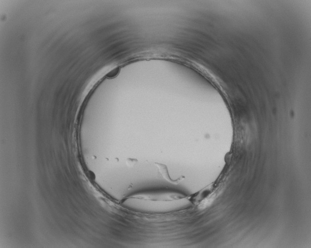 X0000067481434200605051701