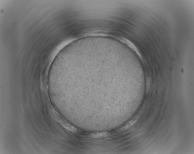 X0000067481435200605051701