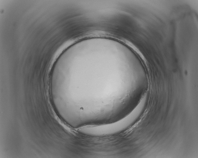 X0000067481437200605051701