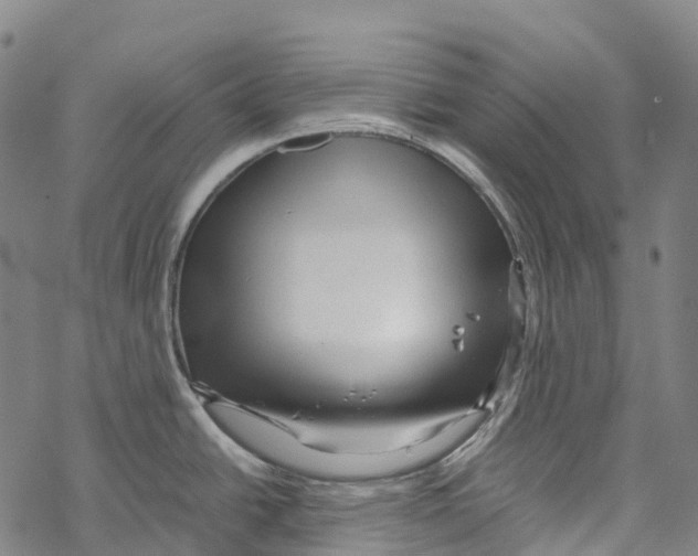 X0000067481438200605051701