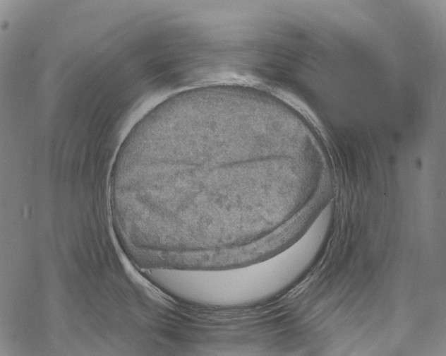 X0000067481439200605051701