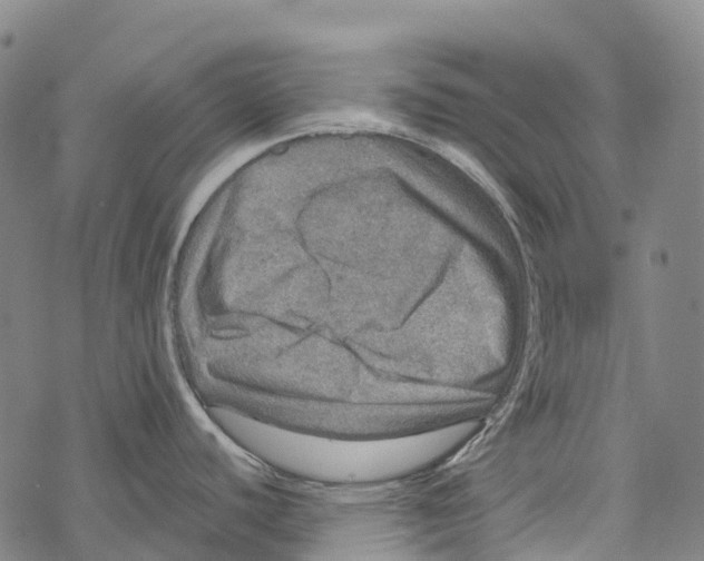 X0000067481440200605051701