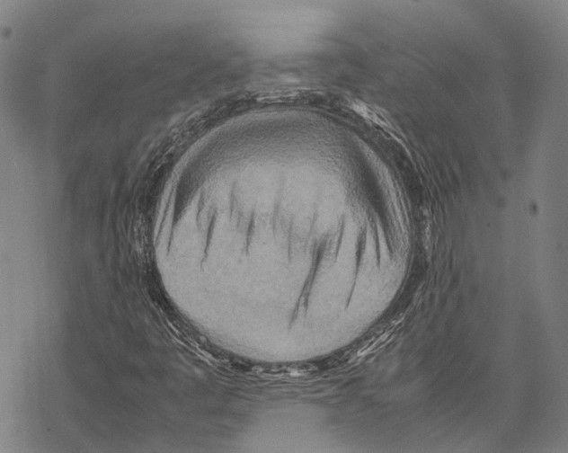 X0000067481445200605051700