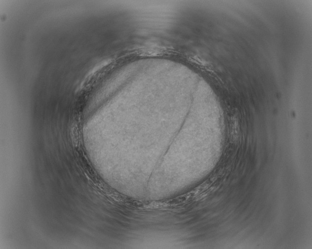 X0000067481446200605051700