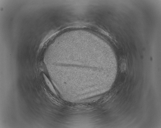 X0000067481448200605051700